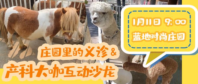 望京！专家义诊！免费！速来！